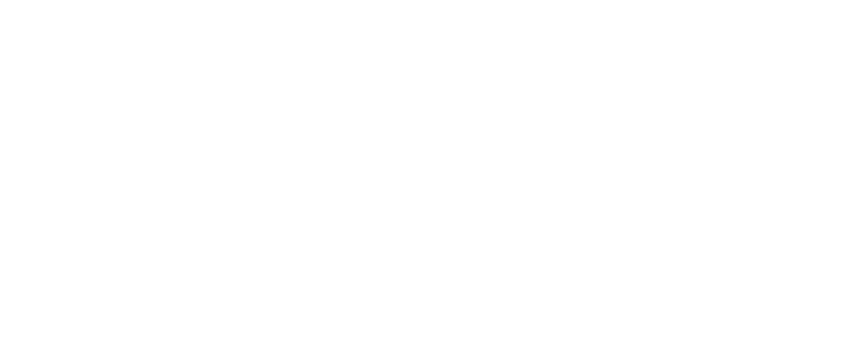 Logo Transfer blanco.png